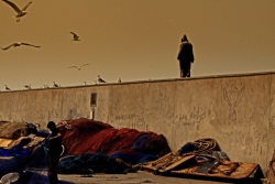 Méditation sur le port de pêche d' Essaouira