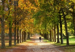 Promenade automnale