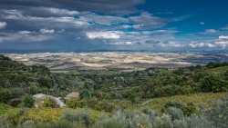 Paysage de Toscane