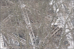 Tour Eiffel 6/33 imbroglio hivernale