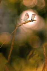 Photo inscription n°2