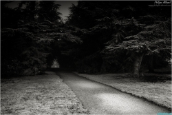La forêt des âmes perdues