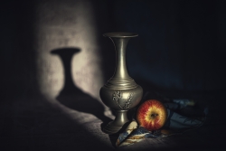 Nature Morte à la pomme