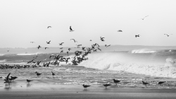 Surfer sur la vague
