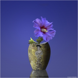 vase Klimt, bleu Klein