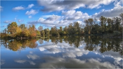 automne sur l'étang