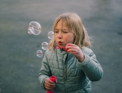 bulles