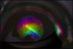 Macro suite l'oeil !