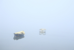 Brume sur l'étang