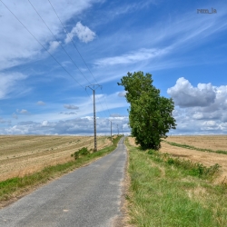 DSC_6095 auro_1600