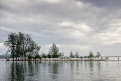 Robinson