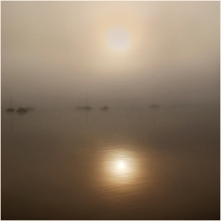 Matin doré