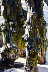 Totems bretons