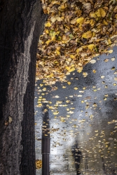 Automne à Paris