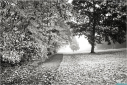 Seul au parc
