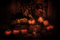 Automne