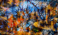 Automne en ville