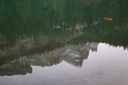 Reflets sur le lac vert (Alpes)