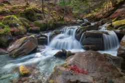 Le ruisseau du Pesson