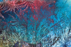 Jardin d'hiver