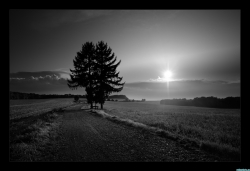 le chemin de la croix