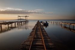 Un autre matin sur l'étang