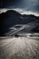 Sur la route du Val claret