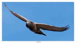 Dans les airs ...