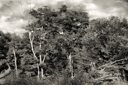 Paysage