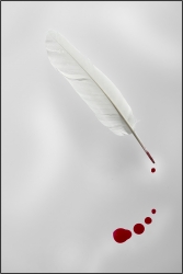 Plume et ....
