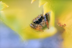 Je vous ai à l'oeil...