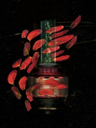 Tourbillon (Alchimie)