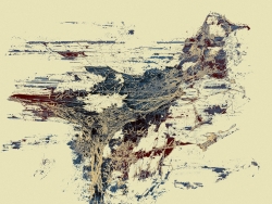 Félis (Cabalistique)