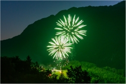 oh la belle verte !