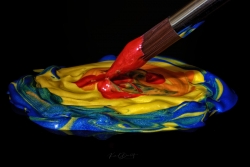 Photo et peinture un duo gagnant ????