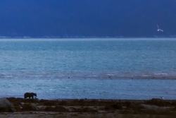 Aube en Alaska