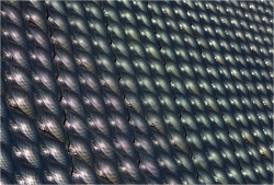 Carapace Métallique