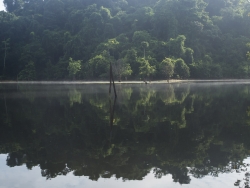 Guyane un matin à Petit Saut