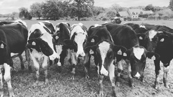 Photo d’inscription N°4 - photo4.jpg