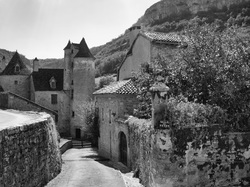 Photo d’inscription N°3 - reflexphoto3.jpg