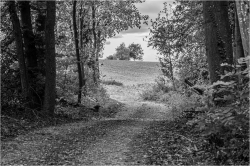 La trouée