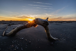 Lever de soleil sur la Camargue
