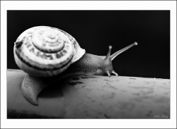Dimanche pluvieux...pour le bonheur de....
