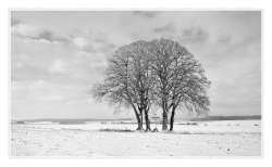 Un peu de neige en Somme