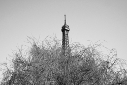 Déclinaison sur tour Eiffel 3