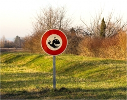 Interdiction peu banale
