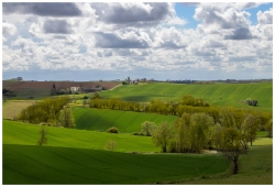 TERRE DU GERS