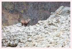 Entre cimes et montagnes