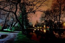 Parc des ibis (2)