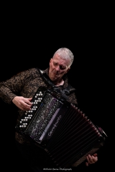 L'accordéoniste